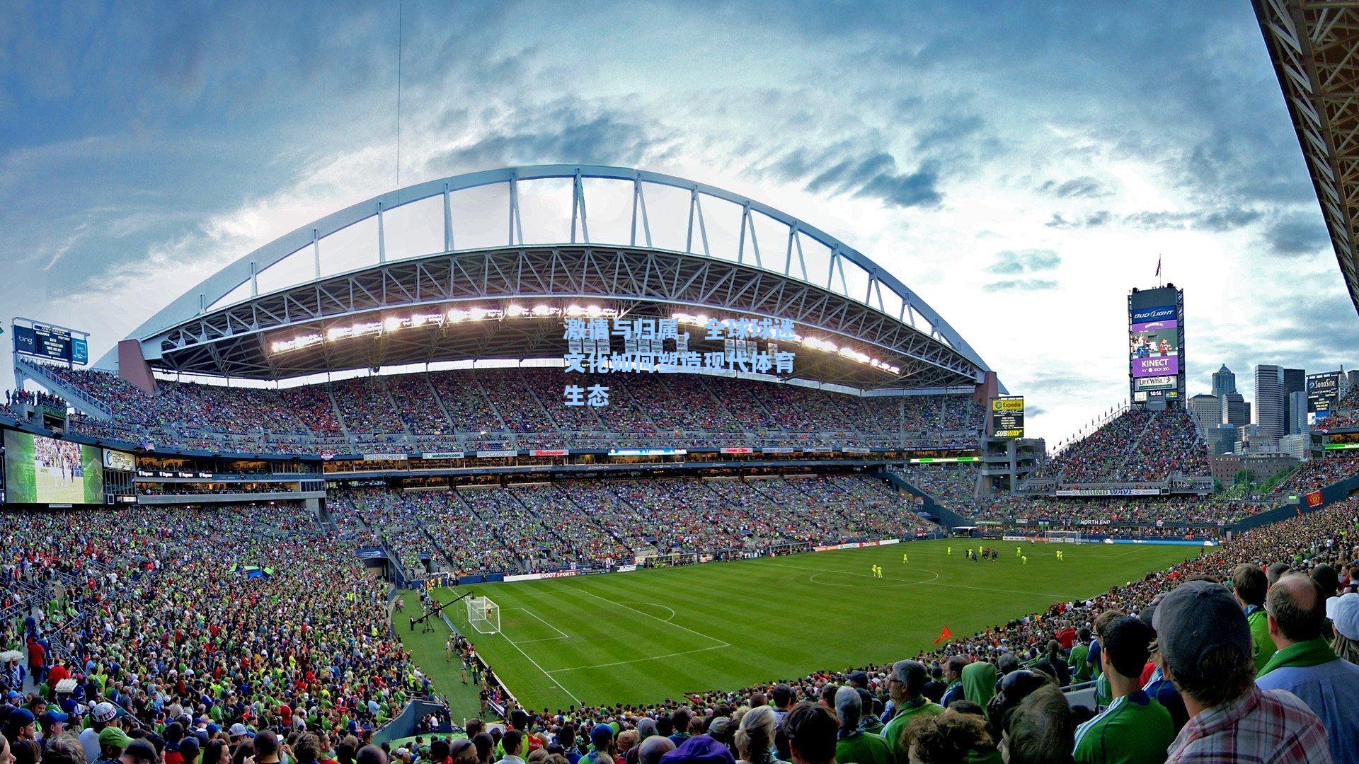 激情与归属，全球球迷文化如何塑造现代体育生态