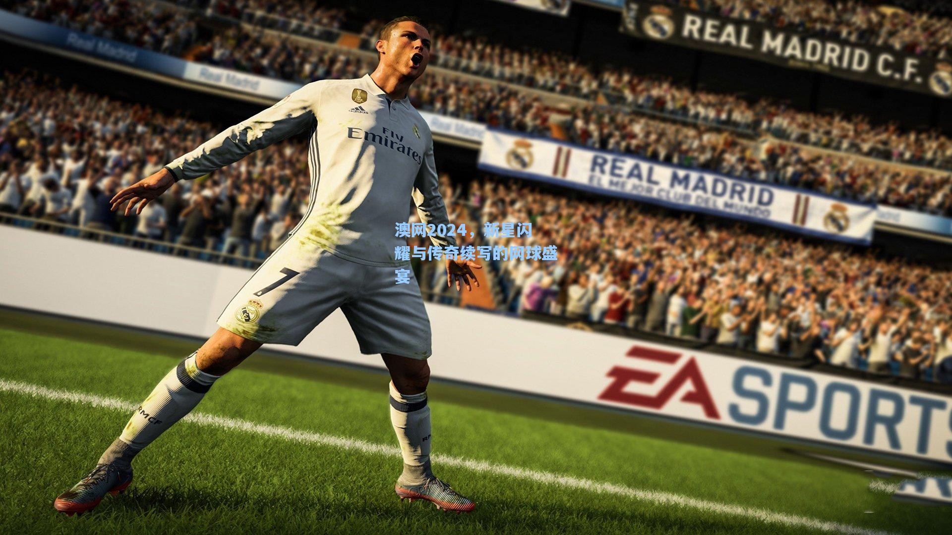 澳网2024，新星闪耀与传奇续写的网球盛宴